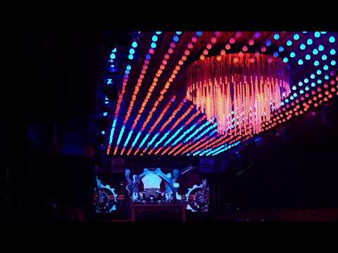 Jonna Rincon x LV - Night Vibes