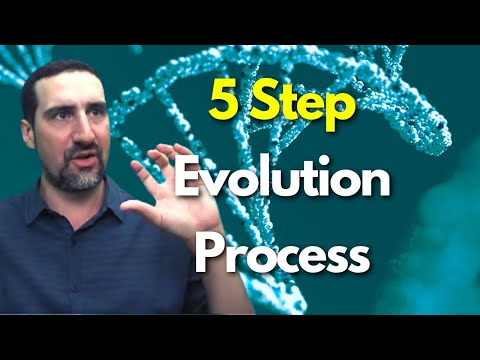 5 Step Evolutionary Process | Choicetimes