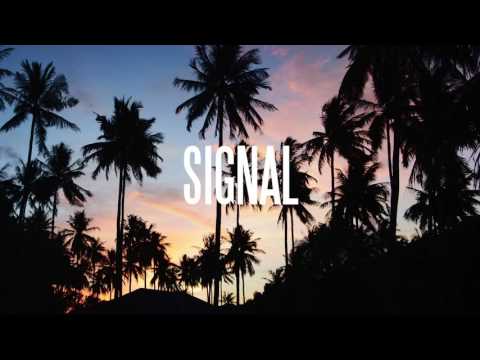 Metrik - Signal