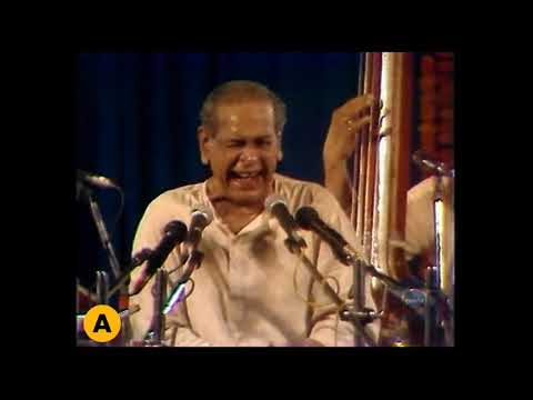 Raga Basant | Pt. Bhimsen Joshi | VIDEO