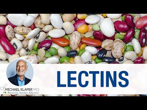 Lectins - Should you be concerned?