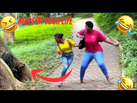 Try not to laugh 😂😂😂 challenge level 37 extreme funniest vedios #funny #laugh #comedy #funnyvedio