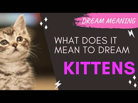 MEANING OF DREAM KITTENS : Interpretation & Symbolism