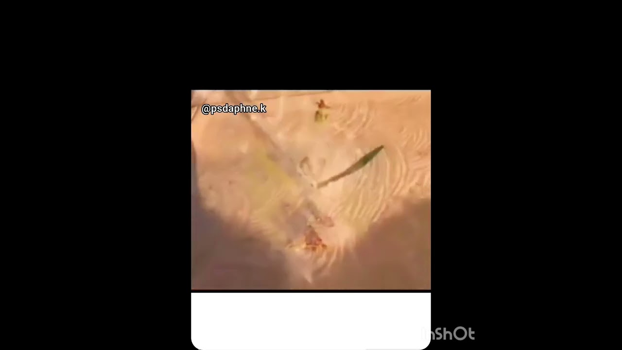 Daphne Klein Reitich-16