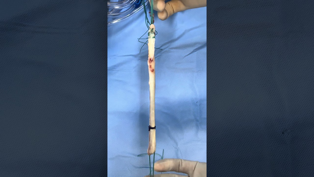 Leonardo Dalla Giacomassa Rocha Thomaz-13