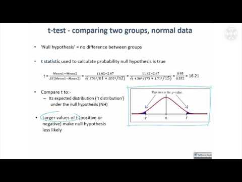 4. T-Test for Comparing Two Groups
