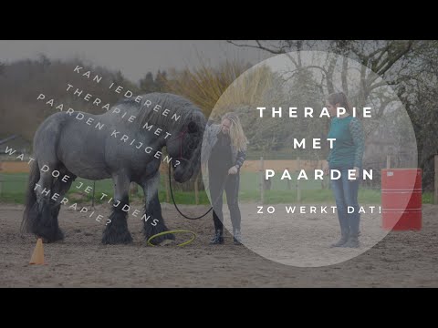 , title : 'Wat doe je bij therapie met paarden?'