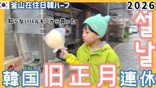 韓国旧正月5連休Vlog.日韓ハーフよ上手に生きてけ！龍頭山公園で凧あげして母子で過ごすソルラル【韓国在住・日韓夫婦・한일부부】