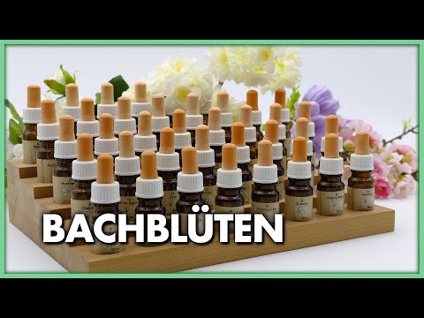 Bachblüten - Sanfte Therapieform um Selbstheilungskräfte zu aktivieren