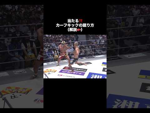 カーフキックの蹴り方 #萩原京平 #カーフキック #総合格闘技 #rizin