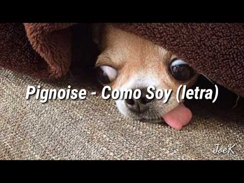 Pignoise - Como Soy (Letra)