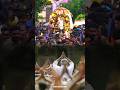 விரைவில் மானாமதுரை அழகர் Alagarkovil Kallalagar Madurai 