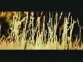 Mercury Rev - Nite and Fog
