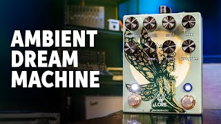 Video thumbnail for Walrus Audio Lore Reverse Soundscape Generator Demo by Sweetwater