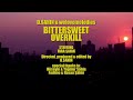 D.$ahin & welovemelodies - BITTERSWEET OVERKILL (Official Video)