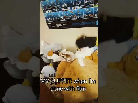 MY PUPPET'S: when I am done with filming #sbjshort
