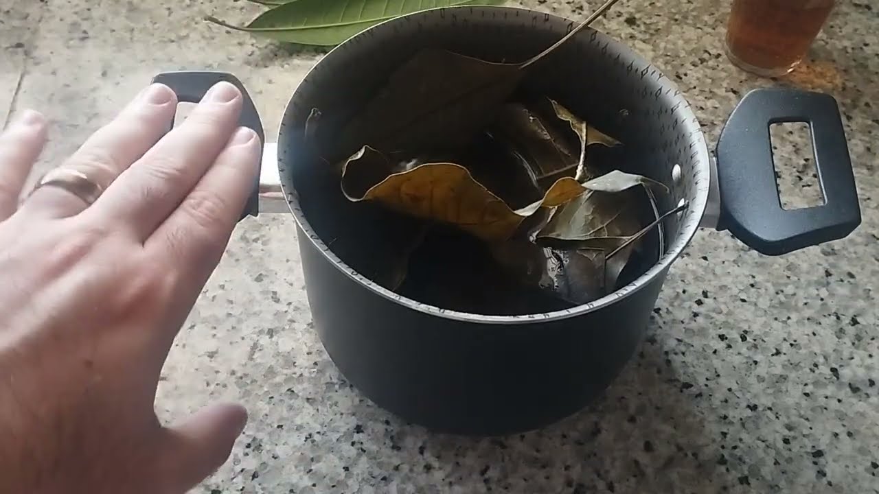 Banho de Defesa: Elimine Inveja, Mau-Olhado e Energias Densas