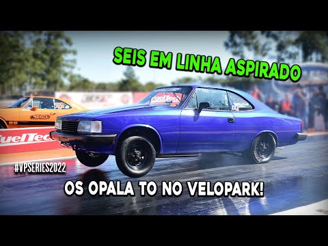 Seis em linha aspirado. Os Opala TO no Velopark!