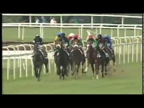 Premio Toscana 2012 (HANDICAP PRINCIPALE)