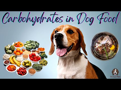 Carbohydrates In Dog Food
