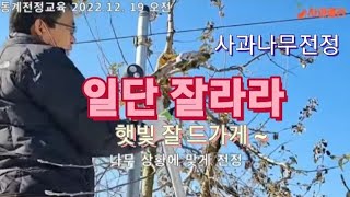 [사과전정] 몇가지 기본 사항만 염두에 두고 일단 톱부터 대보자