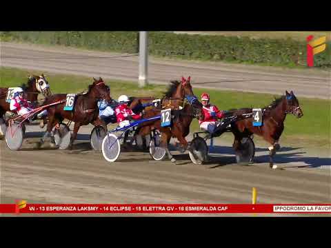 IV corsa del 15 febbraio 2023 - 3 Anni - Metri 1600