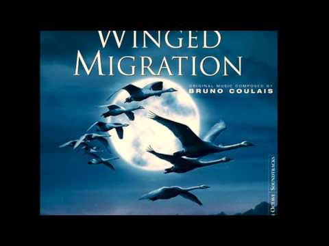 Robert Wyatt - The Highest Gander (Winged Migration OST)