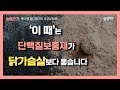 근성장 극대화를 위한 단백질보충제 섭취방법 | 웨이프로틴, 대두단백, 카제인 비교분석 |