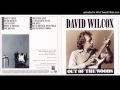 David Wilcox and the Teddy Bears - Please Send Me Someone to Love  (Live 1978)