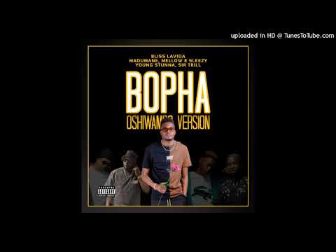 Bliss Lavida, Madumane, Mellow & Sleazy, Young Stunna, Felo Le Tee - BOPHA! (Oshiwambo Version)