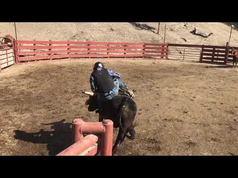 Practice pen with Judd Lefew