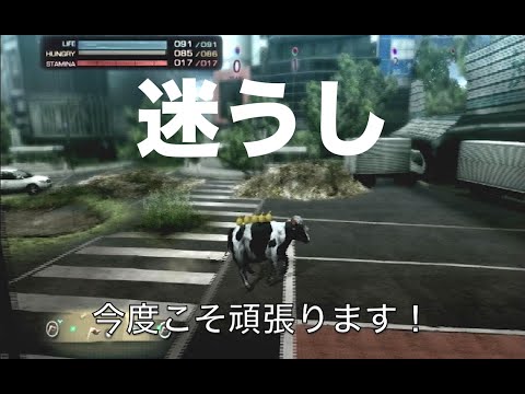 Tokyo Jungle　うしっ！シマウマ探しだ！【実況】〓５