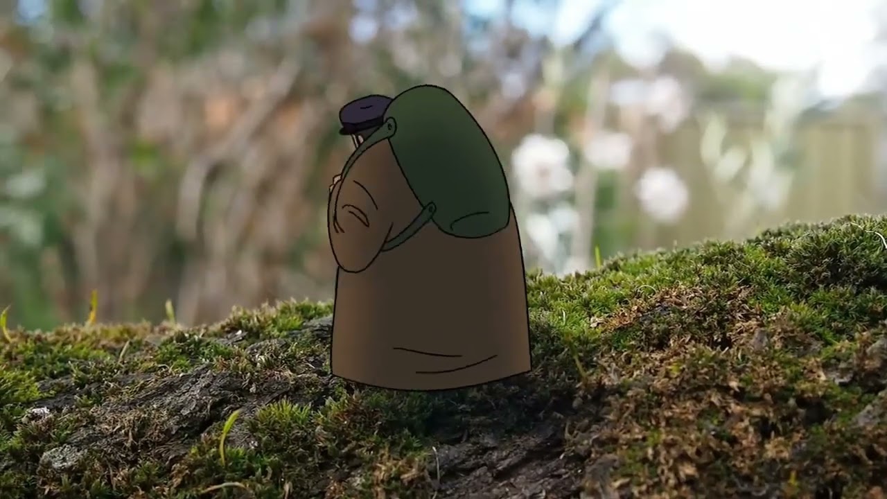 2D Animation With Live Action - IRIS