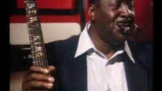 Albert King - "As The Years Go Passing By" Live Sweden 1980