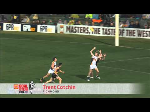 AFL Goal of the Year - Round 18 Nominations