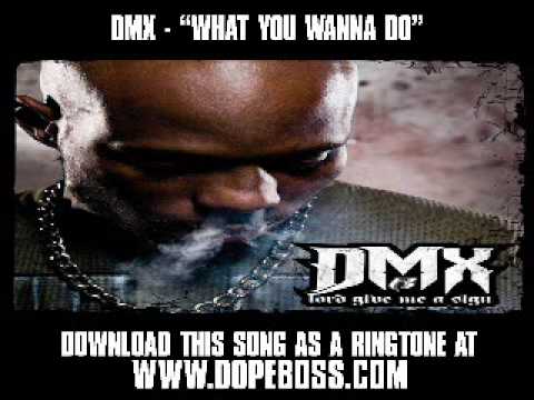 DMX ft Sean Kingston  - "What You Wanna Do" [ New Video + Lyrics + Download ]