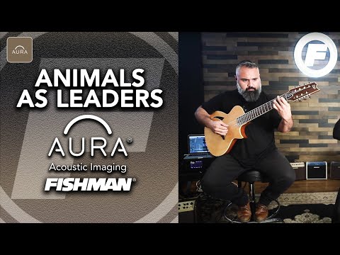 Animals As Leaders - Para Mexer, Aura Spectrum DI Performance (Tosin Abasi & Javier Reyes) Part 2