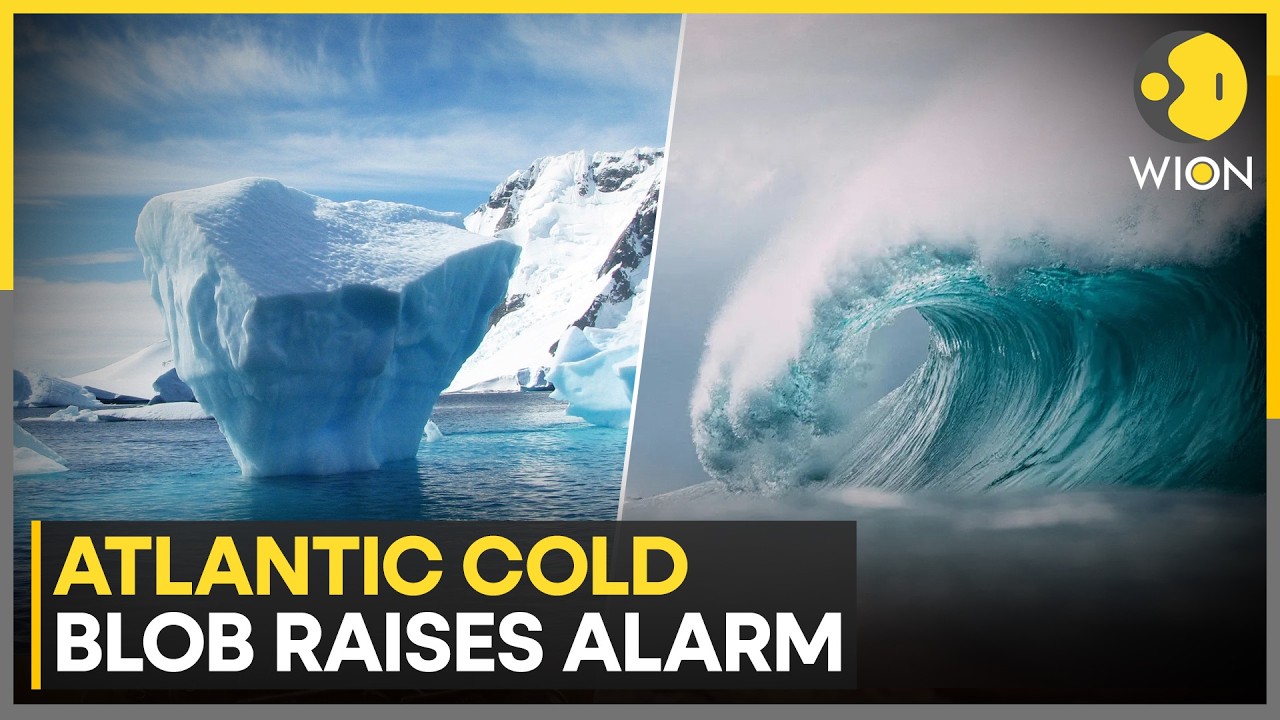 Atlantic ‘Cold Blob’ Raises Fresh Climate Concerns | WION World News