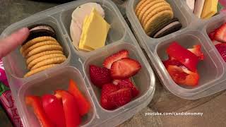 What I packed in my kid's school lunches