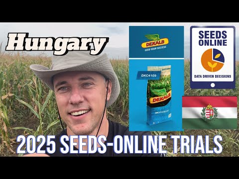Dekalb Best in Hungary? Seeds online review DKC 4031 4109 4125 4391 4231 4433 4712 4717 4590WX 4897