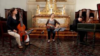 LA BELLE VIELLEUSE // Virtuoso Hurdy Gurdy in the 18th c. France - Ensemble Danguy & Tobie Miller