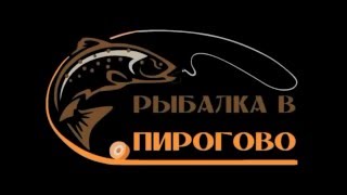 Платная рыбалка в пирогово мытищинский район д каргашино