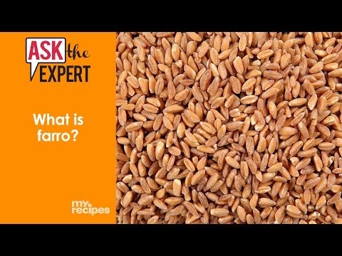 What is Farro? | Ask the Expert