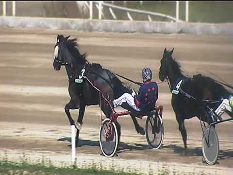 Trotto 14/10/2018 - 1ª corsa