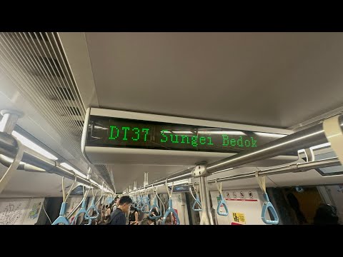 291075116