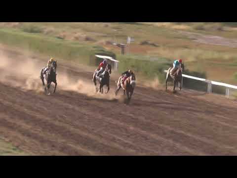 ARBOLITO  Jockey Club Neuquén 10 de Marzo de 2024