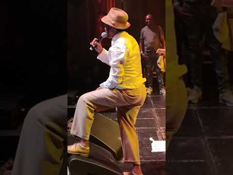 SUPERCAT - LONDON - UK 2019