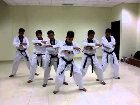 Exo - Overdose (Dance Cover Taekwondo SGZ Demonstration)