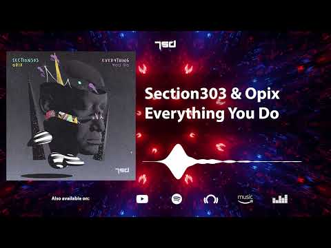 Section303 & Opix - Everything You Do
