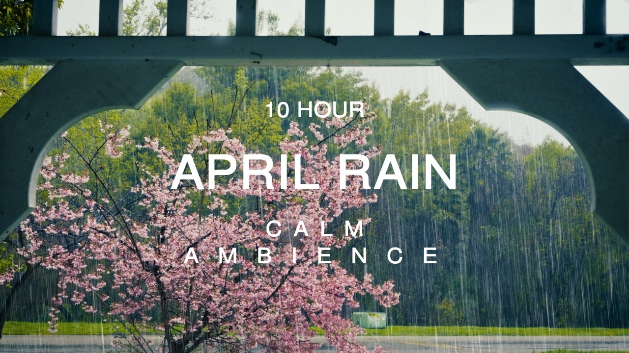 10 Hour 🌸 Spring Rain Sounds 🌸 Gentle April Showers for Deep Sleep & Relaxation